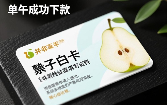 梨子白卡申请下款需要满足哪些条件