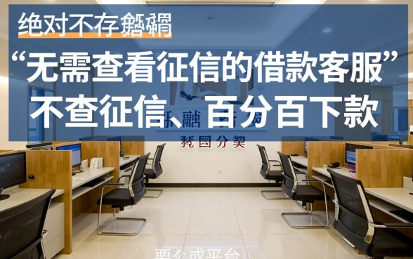 难道真的有无需查看征信的借款客服