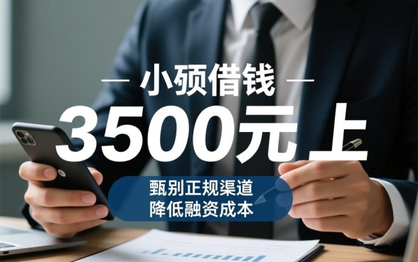 3500元以上怎么借容易过