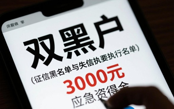 双黑户贷款3000元快速下款平台哪里有,双黑户怎么借钱? 双黑户贷款3000元快速下款平台哪里有