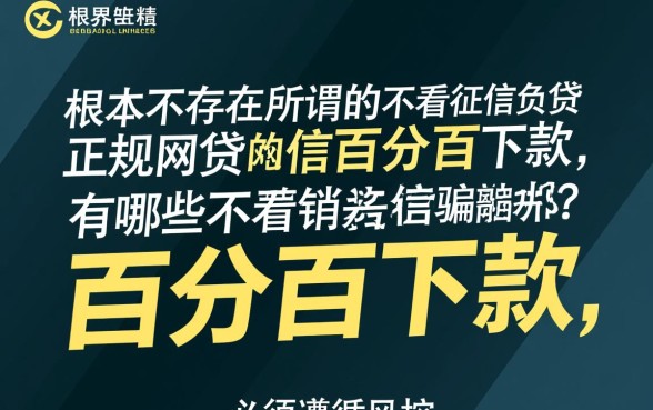不看征信负债正规网贷百分百下款