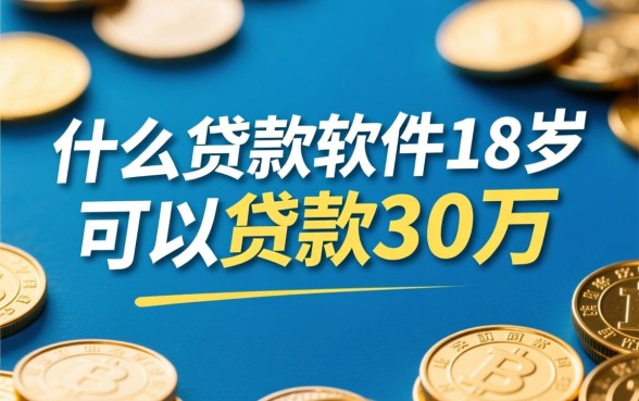 什么贷款软件18岁可以贷款30万