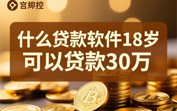 什么贷款软件18岁可以贷款30万