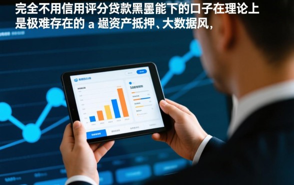 不用信用评分的贷款黑户能下的口子,不看征信的贷款哪里有正规口子? 不用信用评分的贷款黑户能下的口子