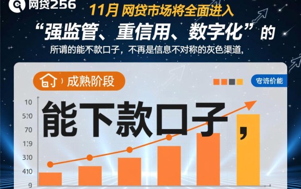 2026年11月网贷能下款的口子有哪些