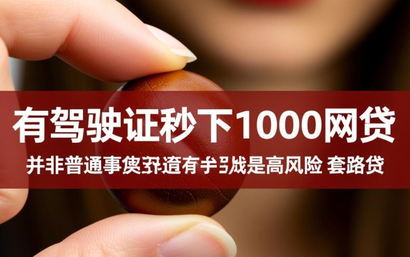 有驾驶证秒下1000网贷是真的吗