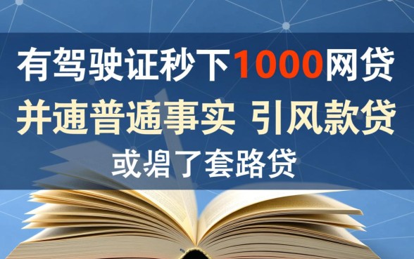 有驾驶证秒下1000网贷是真的吗