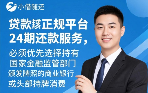 随借随还的贷款正规平台24期还款有哪些