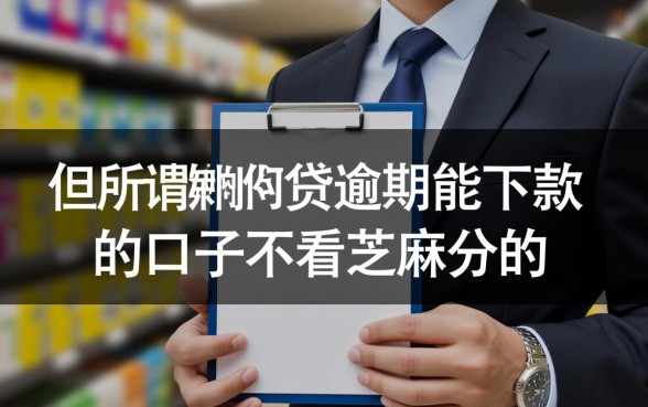 不看芝麻分的口子有哪些