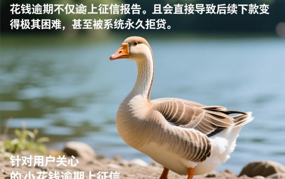 小鹅花钱逾期上征信报告吗能下款吗,逾期了还能再借吗 小鹅花钱逾期上征信报告吗能下款吗