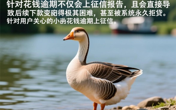 小鹅花钱逾期上征信报告吗能下款吗,逾期了还能再借吗 小鹅花钱逾期上征信报告吗能下款吗