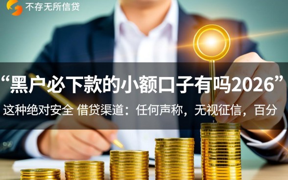 黑户必下款的小额口子有吗2026