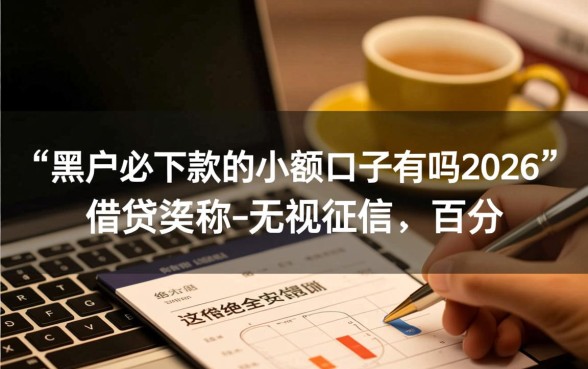 黑户必下款的小额口子有吗2026