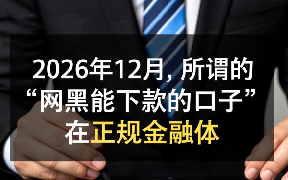 2026年12月网黑能下款的口子有哪些