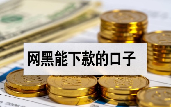 2026年12月网黑能下款的口子有哪些
