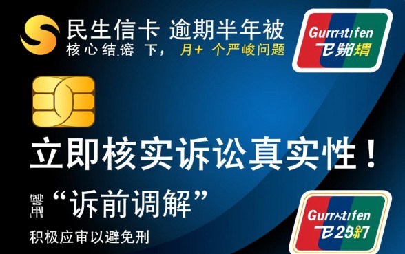 民生信用卡逾期半年被起诉怎么办