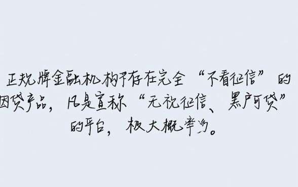 60岁以下不看征信的网贷有哪些