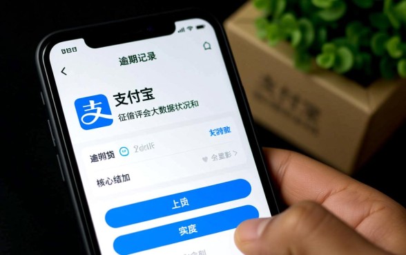 支付宝有逾期可以在什么平台借钱