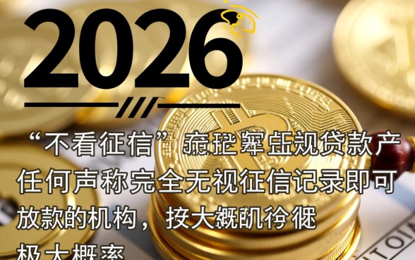 2026不看征信的贷款有哪些呢