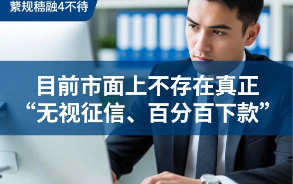 网贷黑户可以贷到款的平台有哪些