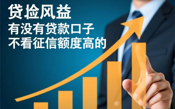 有没有不看征信的贷款口子,哪里可以借到高额度? 有没有不看征信的贷款口子