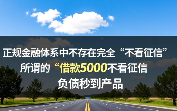 借款5000不看征信能下款吗