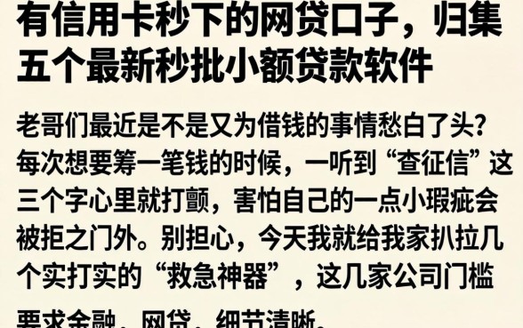 有信用卡秒下的网贷口子，归集五个最新秒批小额贷款软件