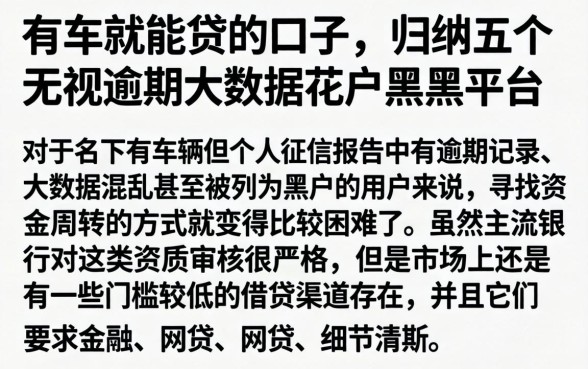 有车就能贷的口子，归纳五个无视逾期大数据花户黑户平台
