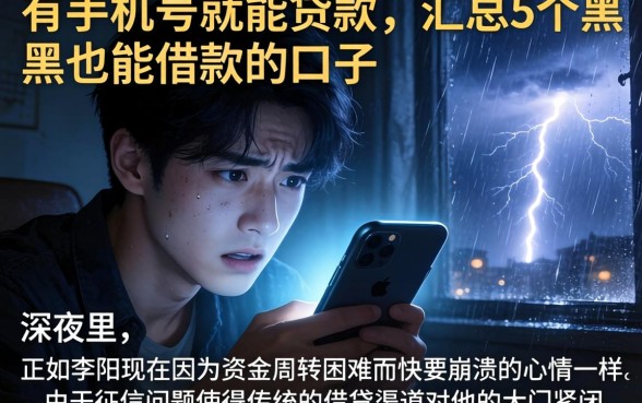 有手机号就能贷款，汇总5个黑户也能借款的口子