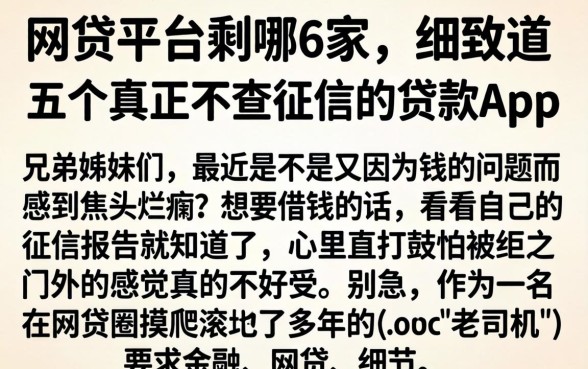 网贷平台剩哪6家，细致阐述五个真正不查征信的贷款app