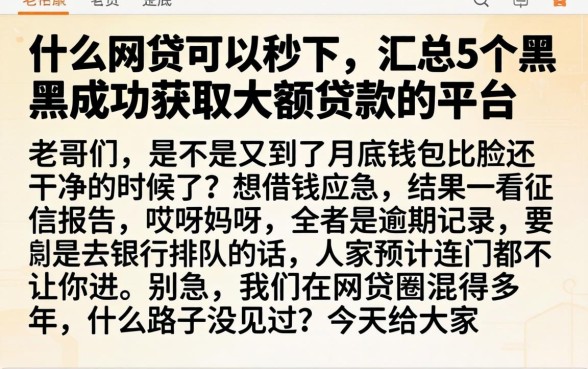 什么网贷可以秒下，汇总5个黑户成功获取大额贷款的平台