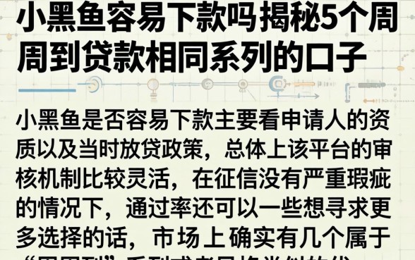 小黑鱼容易下款吗，揭秘5个周周到贷款相同系列的口子