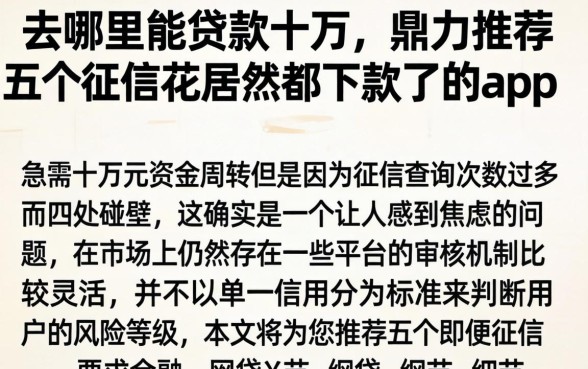 去哪里能贷款十万，鼎力推荐五个征信花居然都下款了的app