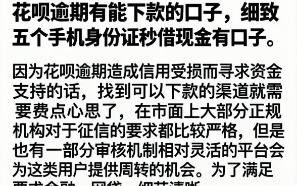 花呗逾期有能下款的口子，细致阐述五个手机身份证秒借现金的口子