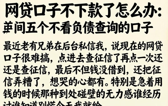网贷口子不下款了怎么办,详尽说明五个不看负债查询的口子