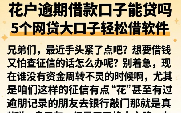 花户逾期借款口子能贷吗，枚举5个网贷大口子轻松借软件