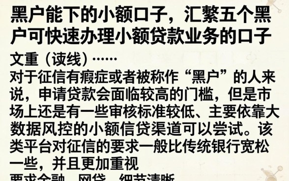 黑户能下的小额口子,汇整五个黑户可快速办理小额贷款业务的口子