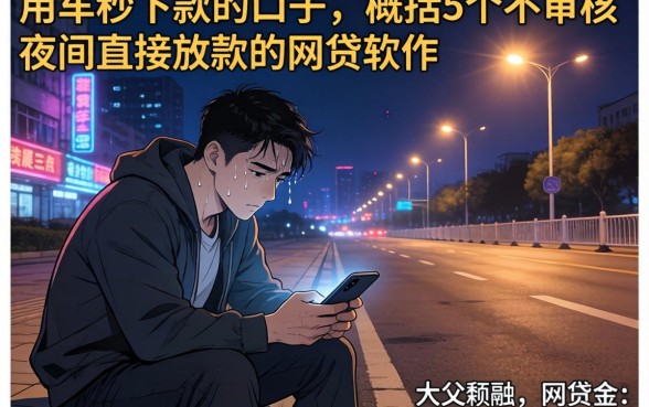 用车秒下款的口子，概括5个不审核夜间直接放款的网贷软件