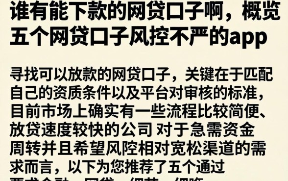 谁有能下款的网贷口子啊，概览五个网贷口子风控不严的app