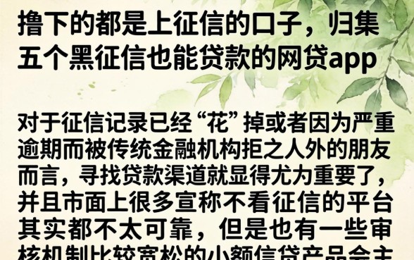 撸下的都是上征信的口子，归集五个黑征信也能贷款的网贷app