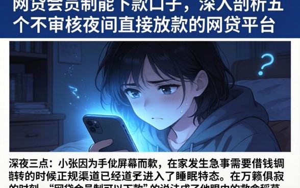 网贷会员制能下款的口子，深入剖析五个不审核夜间直接放款的网贷平台