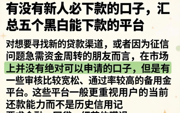 有没有新人必下款的口子，汇总五个黑户能下款的平台