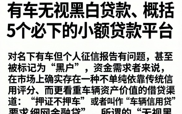 有车无视黑白贷款，概括5个必下的小额贷款平台