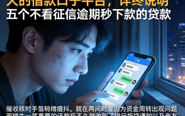 大的借款口子平台，详尽说明五个不看征信逾期秒下款的贷款