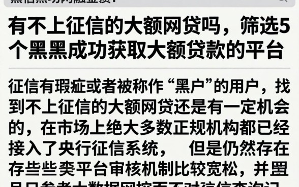 有不上征信的大额网贷吗，筛选5个黑户成功获取大额贷款的平台