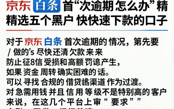 京东白条首次逾期怎么办，精选五个黑户快速下款的口子