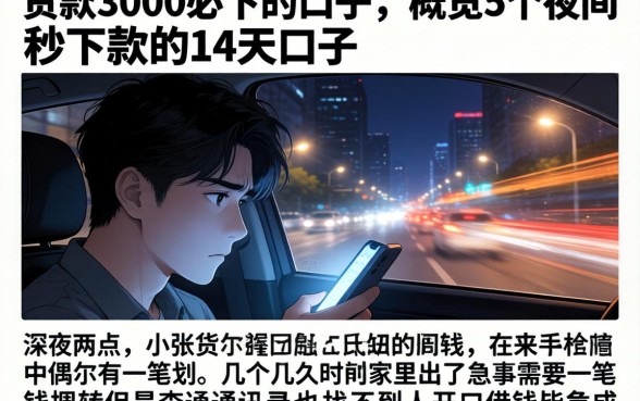 贷款3000必下的口子，概览5个夜间秒下款的14天口子