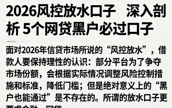 2026风控放水的口子，深入剖析5个网贷黑户必过口子
