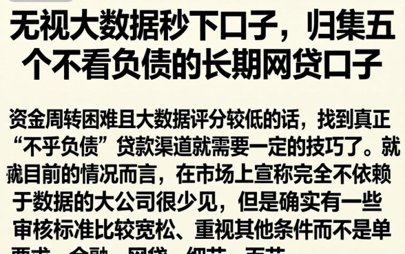 无视大数据秒下口子，归集五个不看负债的长期网贷口子