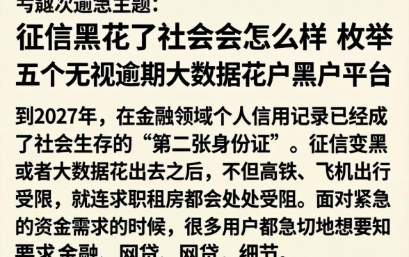 征信黑花了社会会怎么样,枚举五个无视逾期大数据花户黑户平台